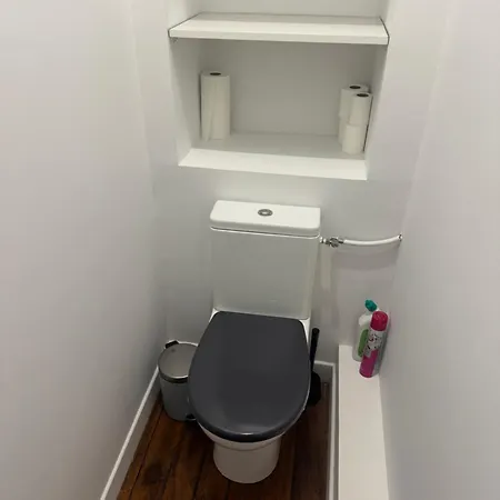 Haussmannien Dans Le Centre De