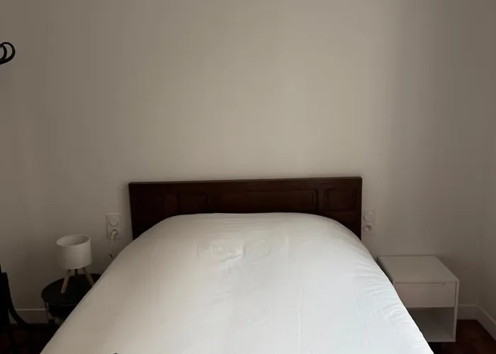 公寓 Haussmannien Dans Le Centre De